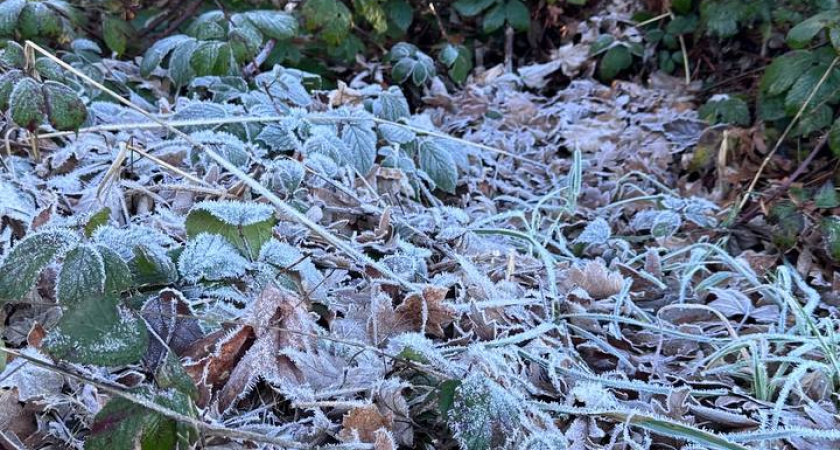 Февраль подтверждает звание зимнего месяца : чего ждать от погоды в ближайшие три дня 