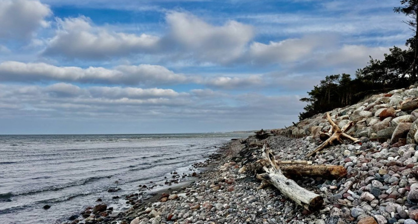 К снегу стоит готовиться уже сейчас. Прогноз погоды в Калининграде на 13 февраля