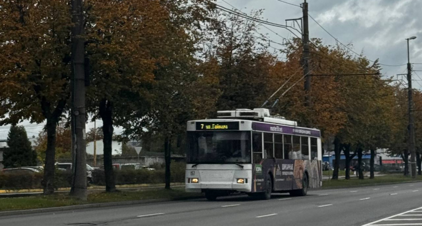 Авария на контактной сети: в Калининграде изменили маршрут троллейбуса №2