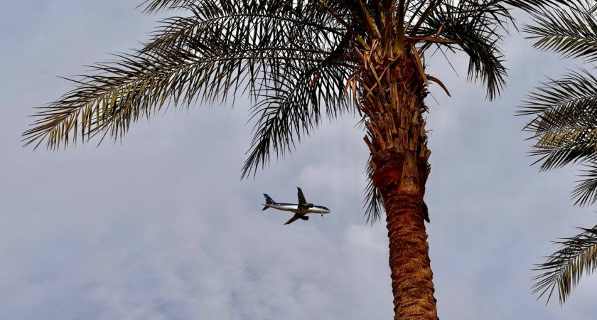 Что сейчас происходит в России с путевками за границу на фоне падения доллара