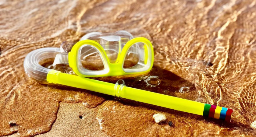 Итоги дня. Главные новости Калининграда и России за 20 февраля