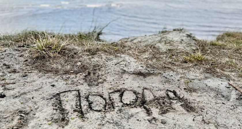 Погода в Калининграде: воскресенье порадует солнцем и теплом, но к вечеру все изменится