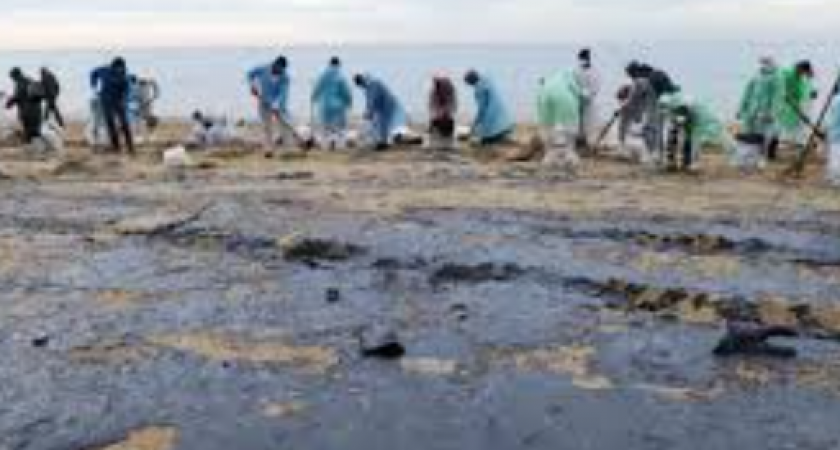 В Краснодарском крае снова обнаружены следы мазута на пляжах после аварии с танкерами