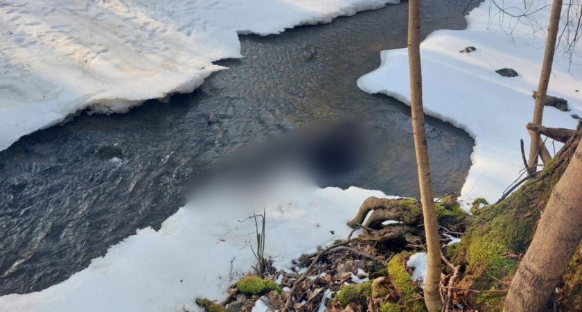 Следователи Озерска выясняют обстоятельства гибели местного жителя 