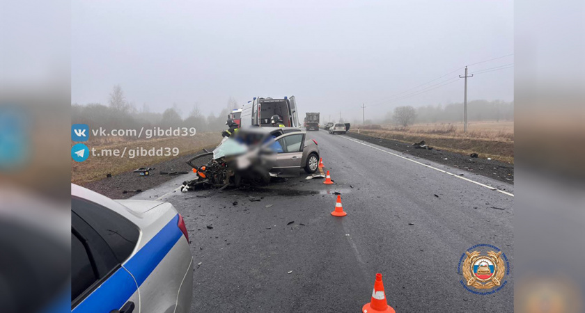 Внезапно вылетел прямо на встречку: стало известно о жестком массовом ДТП на трассе Калининград — Нестеров