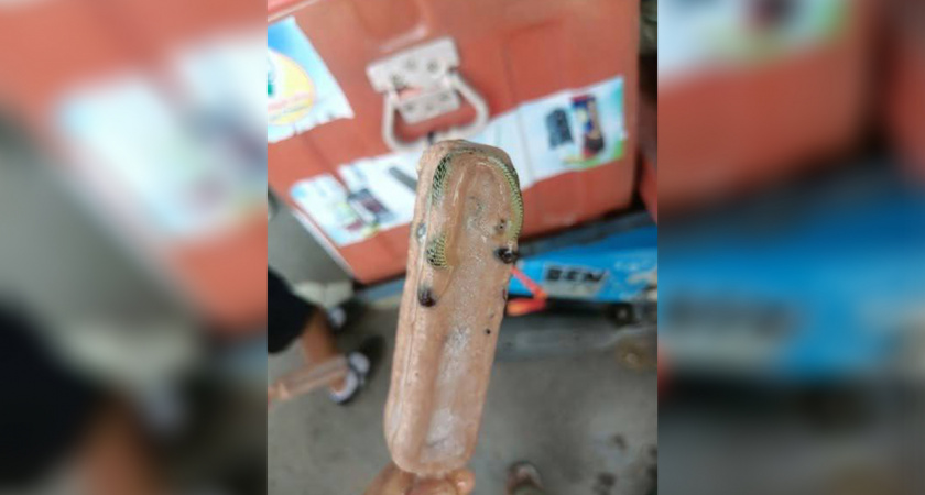 Купил мороженое — нашел смерть: в Таиланде человека чуть не убил экзотический десерт с ядовитой гостьей