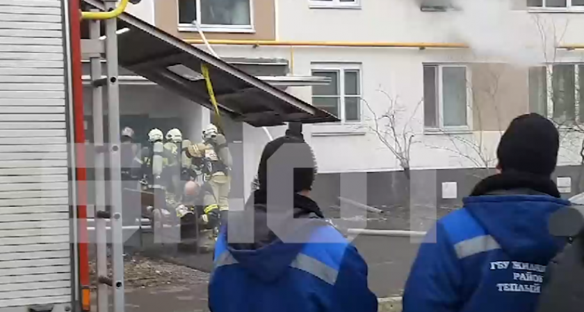 Москвичка устроила пожар в доме, едва не погубив людей и кота: что стало причиной