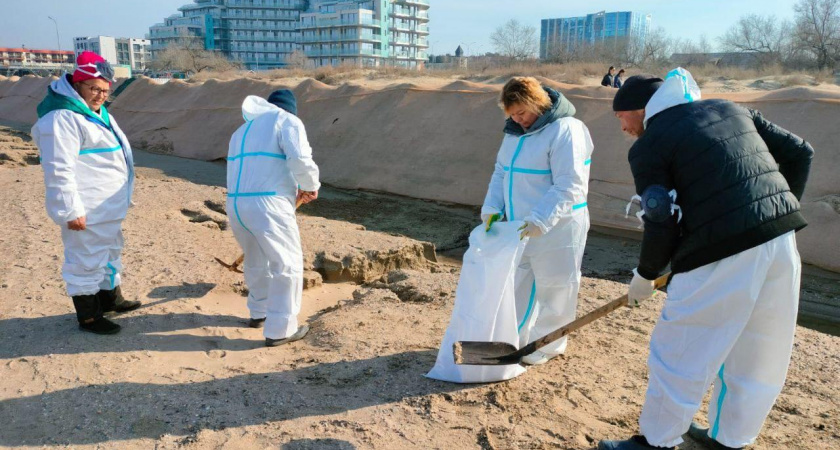 В Анапе встревожены: на пляжах снова обнаружены выбросы мазута