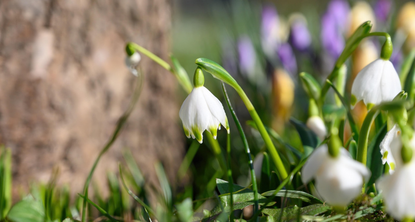 Могут пройти дожди: какой будет погода в Калининграде и на побережье в понедельник, 24 марта
