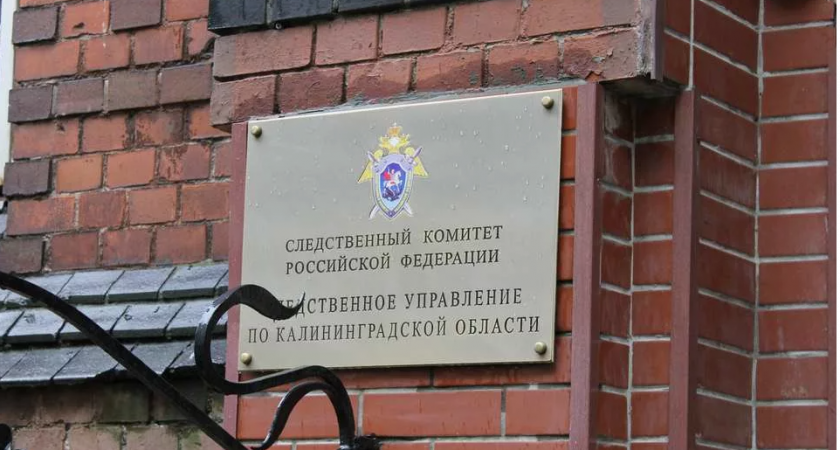 10 убийств и тело в лесу: калининградца будут судить за серию заказных убийств