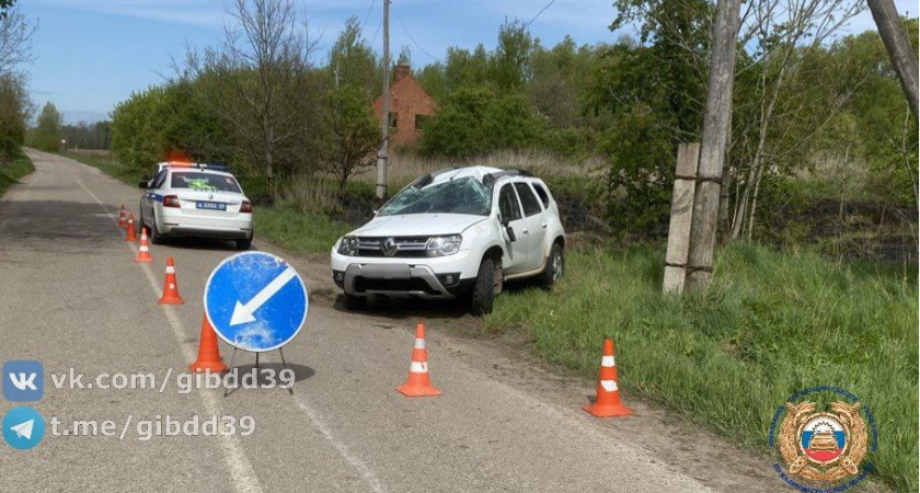 Водитель «Рено» ушёл в кювет, спасая животное: серьезное ДТП под Калининградом