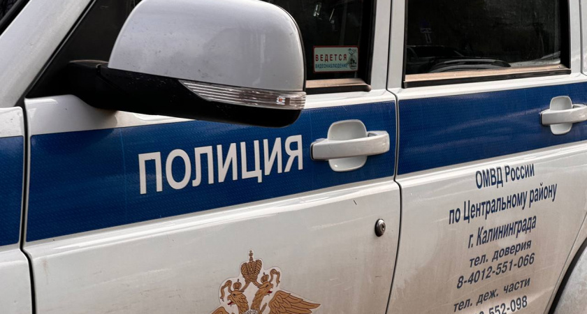Погром в парке Победы в Черняховске: подростки разрушили памятные стенды и велопарковку — дело дошло до уголовного расследования
