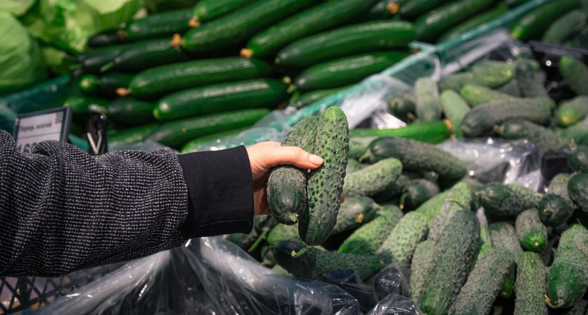 Сезонное снижение: цены на огурцы могут упасть на 20% в мае
