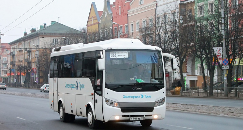 До дюн — без пересадок: из Калининграда на Куршскую косу снова ходит прямой автобус