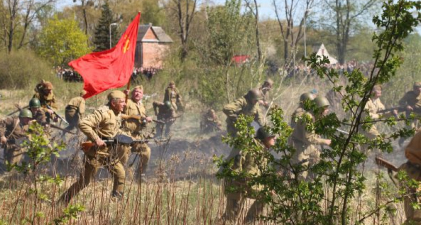 От фестивалей до парада — афиша бесплатных мероприятий в Калининградской области 8-11 мая
