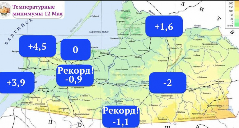Май замерзает: как Калининград оказался в цепких лапах ночных заморозков