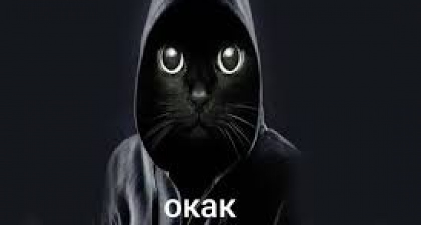 Новый мем «Окак» стал вирусным в соцсетях: что за черный кот в капюшоне и зачем он в вашей ленте