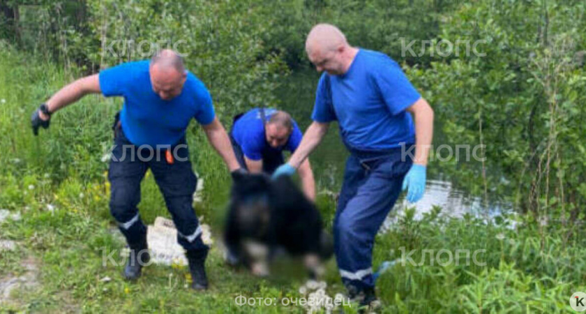 Таинственная находка в форте под Калининградом: тело мужчины обнаружено в воде, что произошло — пока загадка