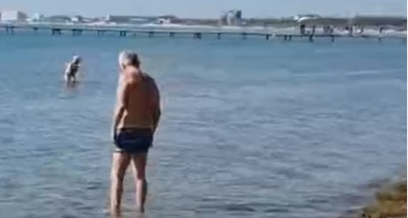 «Мы что, зря ехали-вода нормальная»: тысячи отдыхающих купаются на берегах Анапы, несмотря на запрет и грязную воду