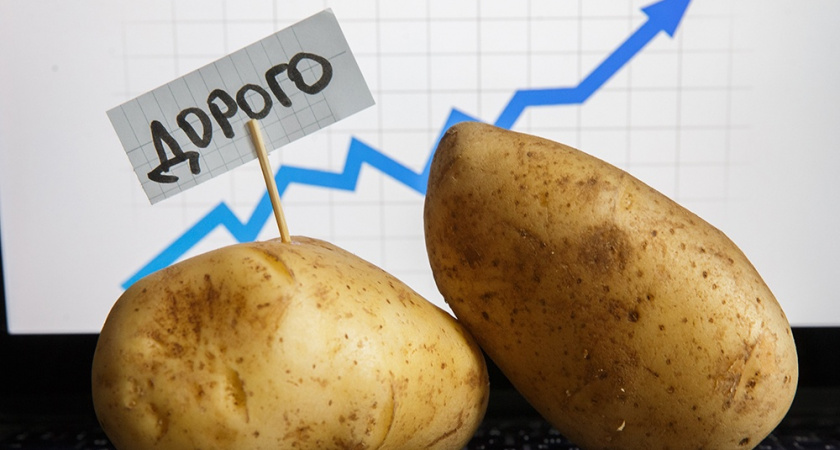 Калининград заблокировал вывоз картошки: что происходит с ценами и овощами