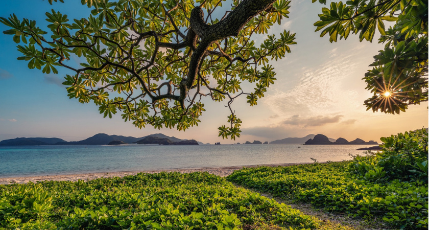 Смотри под ноги и не говори с незнакомцами: что можно и нельзя делать 4 июня — народные приметы на Василиску и Варфоломея
