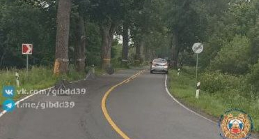 Смертельное ДТП в Славском районе: мотоциклист без шлема врезался в дерево и погиб