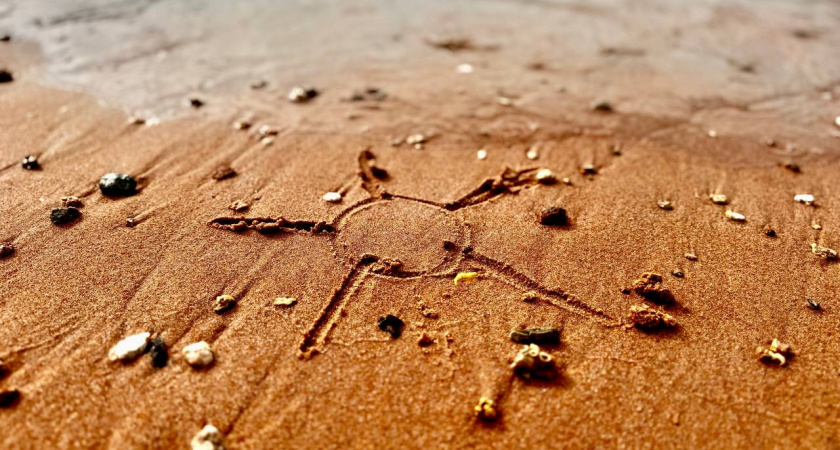 Прохлада уходит, но не спешит: как изменится погода в Калининградской области до конца недели и что ждать в начале следующей