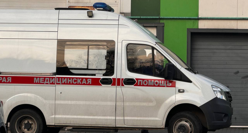 Десятилетняя девочка пострадала в Москве из-за падения дерева — что известно о происшествии