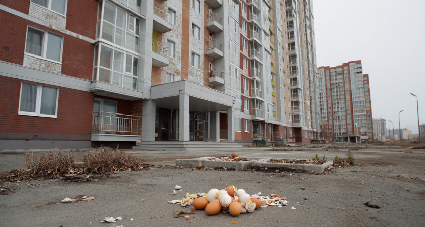 Именинника закидали яйцами и мукой — соседи в шоке от «поздравления» юных калининградских вандалов