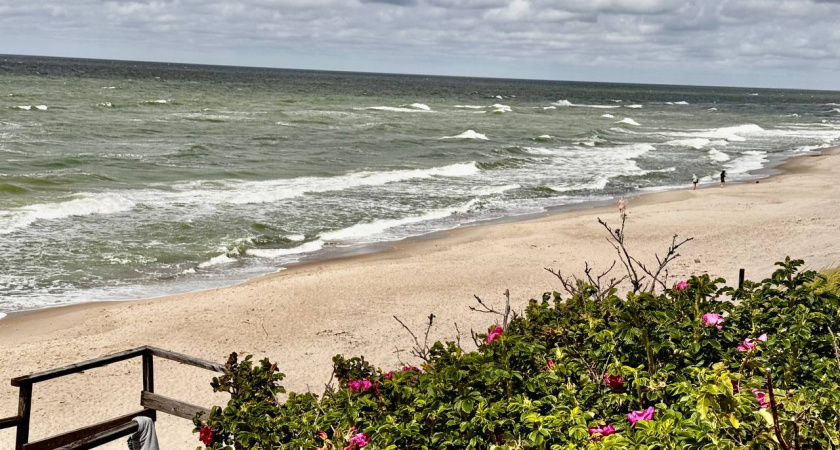 Черная футболке и обувь 41 размера на берегу: в Косьме спасатели прочёсывают реку в поисках человека