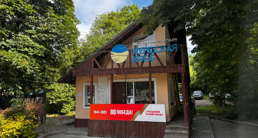 «Стена смерти» или туристический рай: судьбу проекта на Куршской косе решат ученые РАН