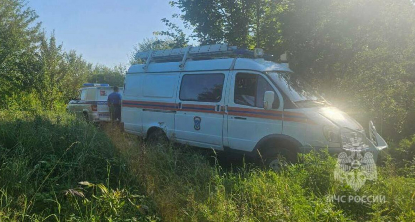 Грибники в зоне риска: Калининградские спасатели нашли в лесу несколько семей - люди не смогли самостоятельно выбраться из леса