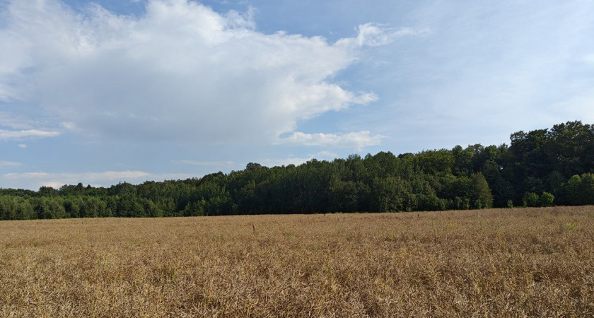 Если Гольфстрим остановится: Европа и Калининград могут столкнуться с морозами до -48 °C — правда или миф