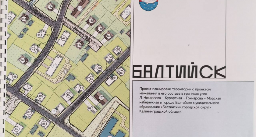 Дорога под окнами, застройка зеленых зон: жители Балтийской косы бьют тревогу из-за нового проекта планировки