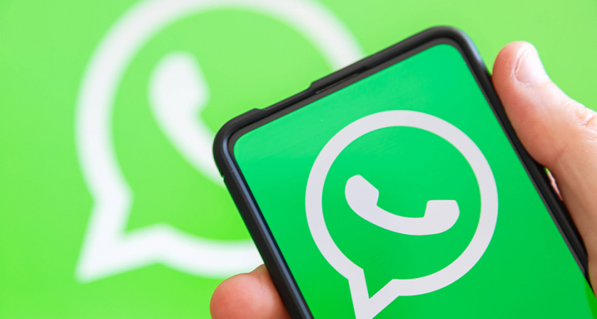 Депутат Госдумы предсказал закат WhatsApp* в России: останутся только два мессенджера