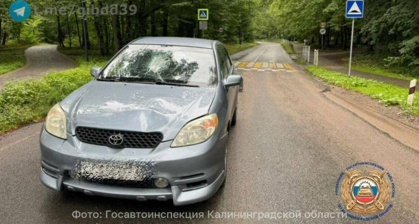 ДТП в Отрадном: водитель Toyota сбил мужчину и женщину на пешеходном переходе