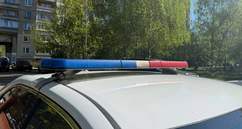 Жестокая драка подростков в Гусеве: школьницу били по лицу и голове и снимали на видео