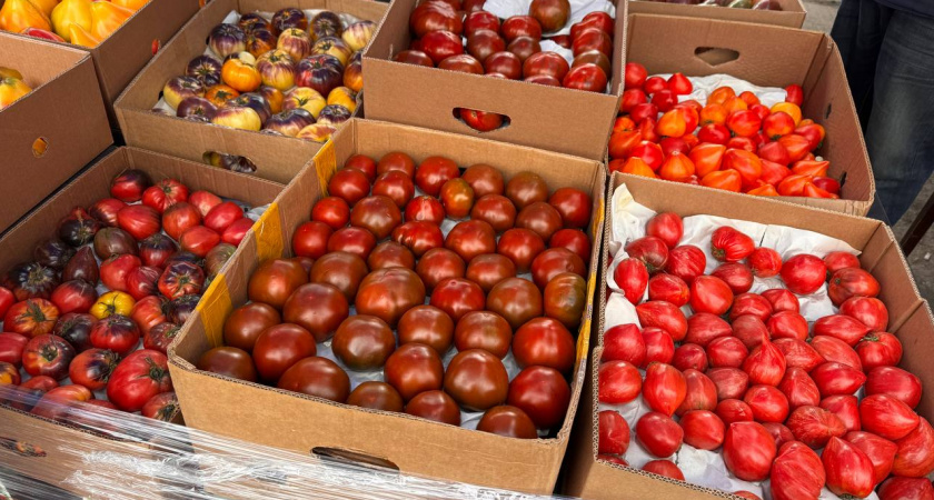 Цены на продукты в Калининграде: сезонные овощи подешевели, но некоторые позиции шокируют