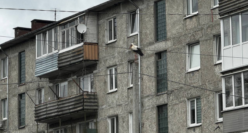 Промышленность — в минусе, стройка — в упадке: тревожный прогноз для Калининградского региона