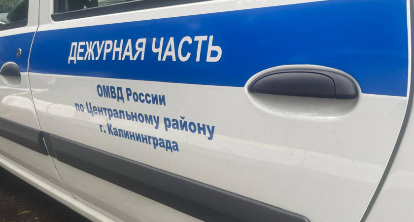 Калининградка после ДТП арестовала имущество виновницы, которая не хотела "платить по заслугам"