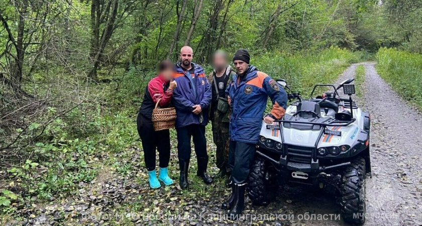 Прогулка едва не обернулась бедой: в Калининградской области нашли семью с ребёнком в лесу