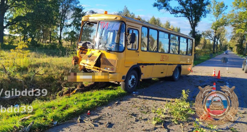 Тревожное утро в Неманском районе: школьный автобус врезался в дерево, пострадали дети