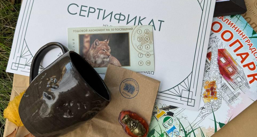 В Калининграде зоопарк разыгрывает подарки среди посетителей — ждут рекордного гостя
