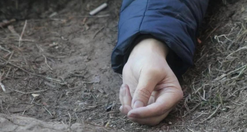 Нашли в кустах: в Калининграде рядом с элитными таунхаусами обнаружили тело мужчины