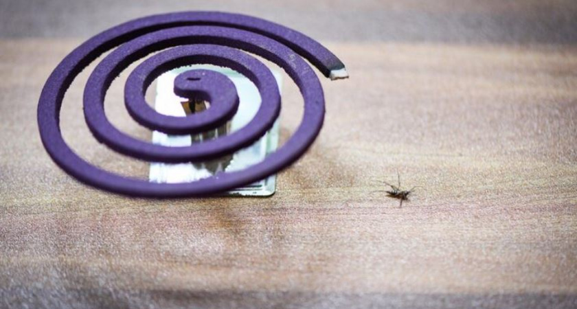 Залила спираль от комаров водой и получила мощного помощника для дома и сада круглый год