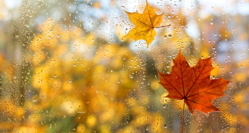 Ливень и шторм надвигаются с Атлантики: Калининград готовится к непогоде, прогноз на 29 октября