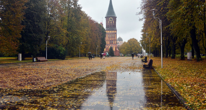 Циклон у берегов Дании: на Калининградскую область идут сильные осадки и порывы ветра до 24 м/с, прогноз погоды на 30 октября