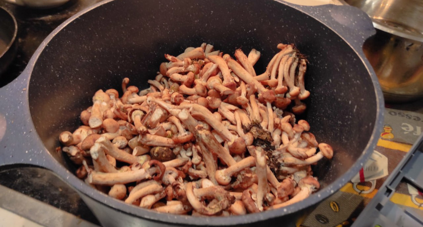 Главная осенняя закуска: врач объяснил, как превратить маринованные грибы в полезную закуску для стройной фигуры