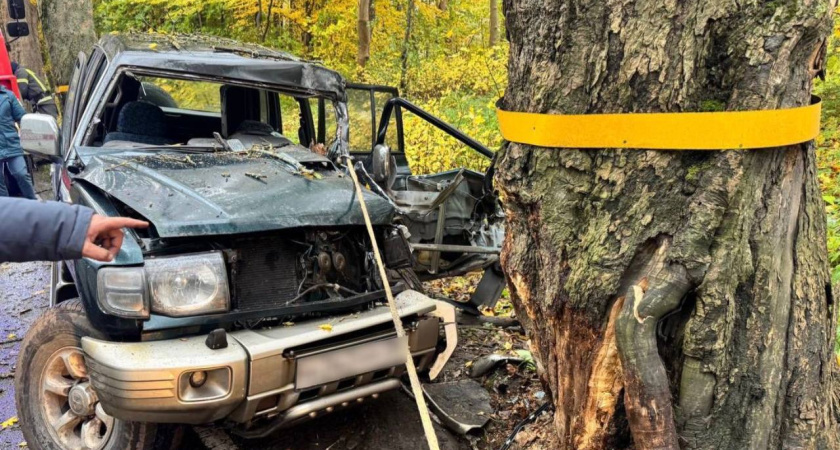 В Зеленоградском округе водитель врезался в дерево — спасатели вырезали его из машины