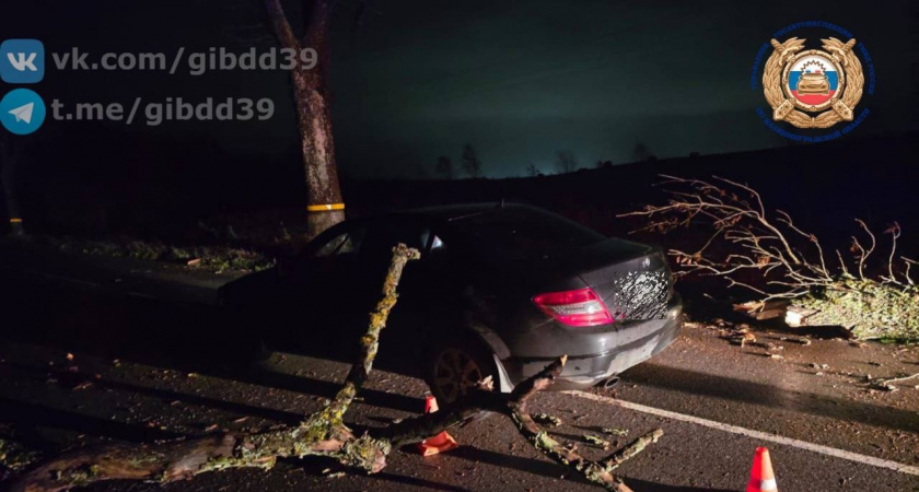 Под Зеленоградском водитель чудом выжил после опасного столкновения